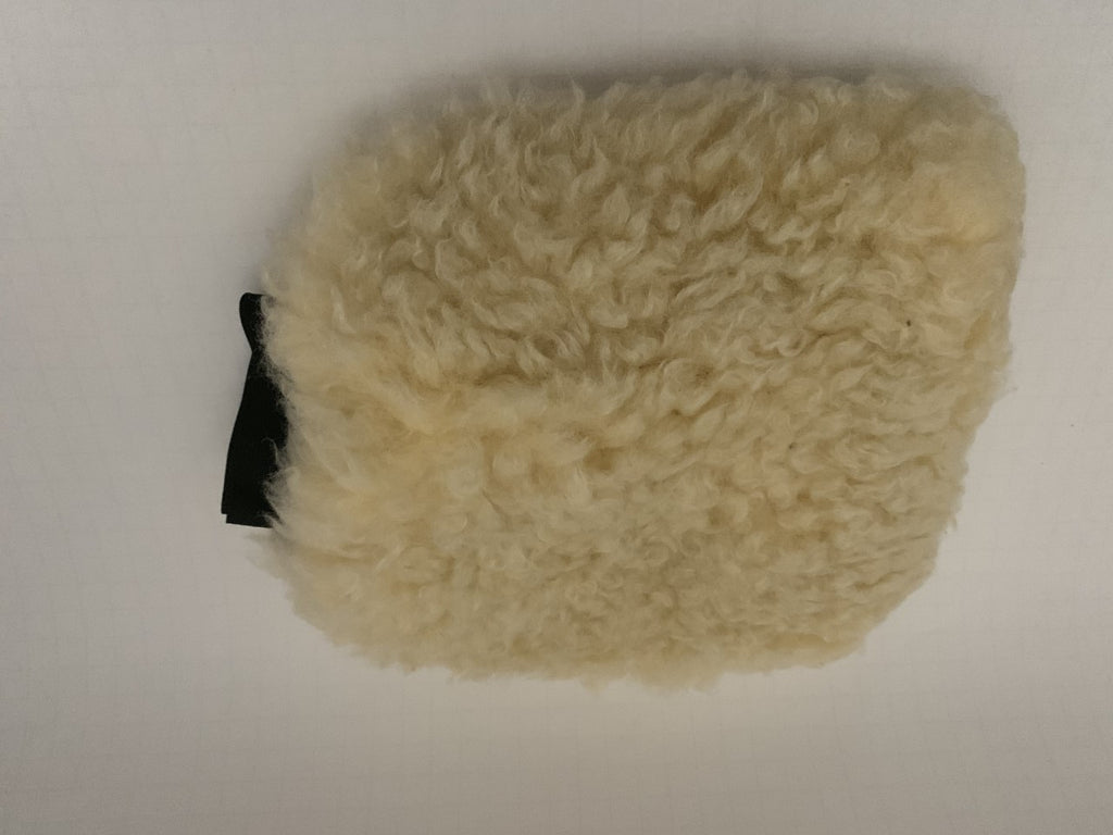 Wash Mitt